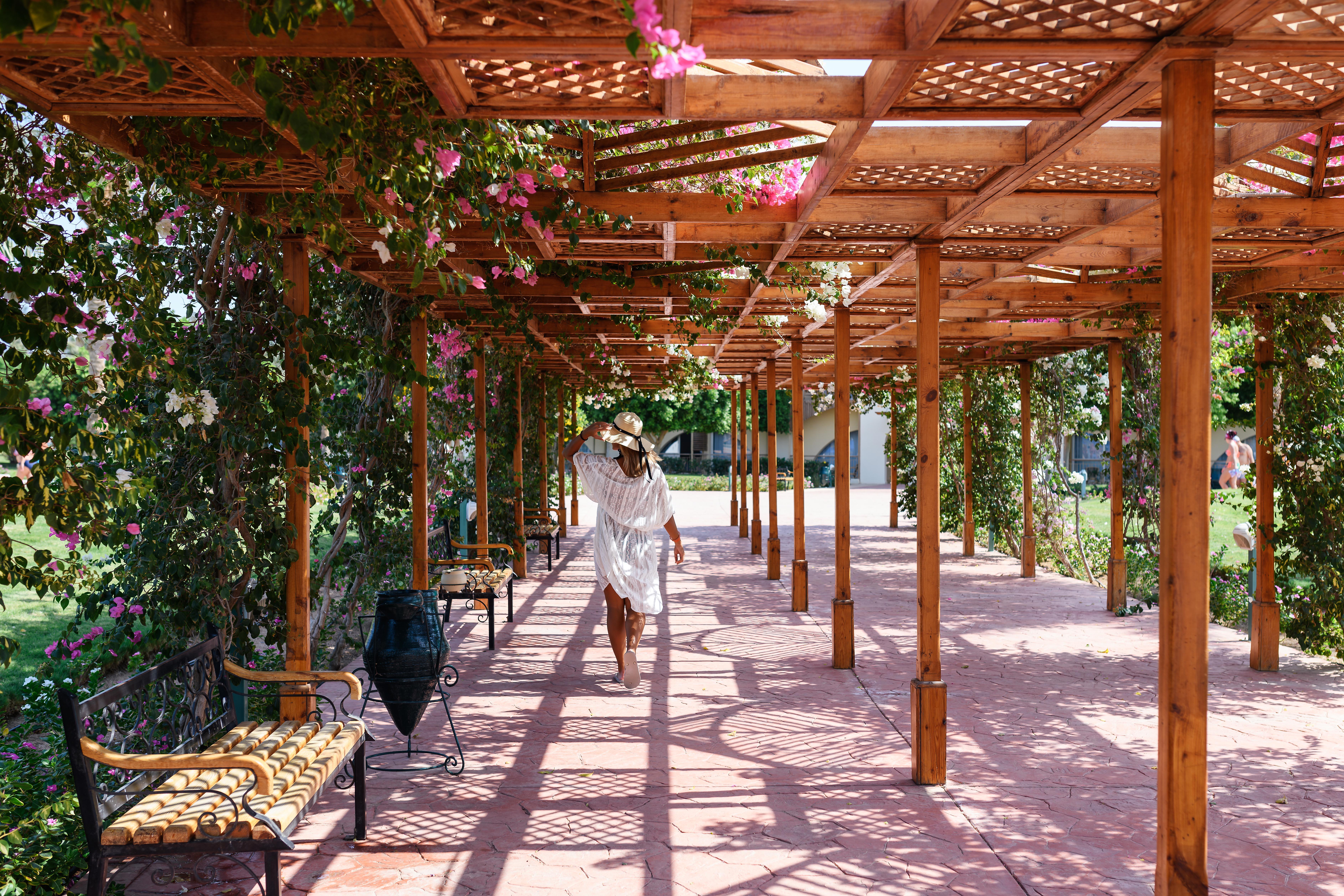Desert Rose Resort Hurghada Exterior photo Pergola at the Desert Botanical Gardens